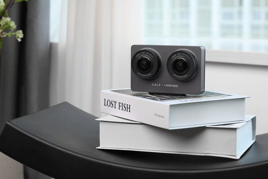 🎄 This Christmas, Try Remembering It in 3D